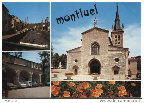 Montluel - Vues - Montluel