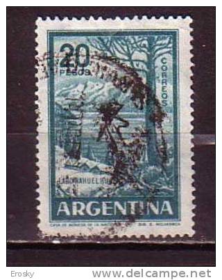 D0696 - ARGENTINA Yv N°606C - Usati