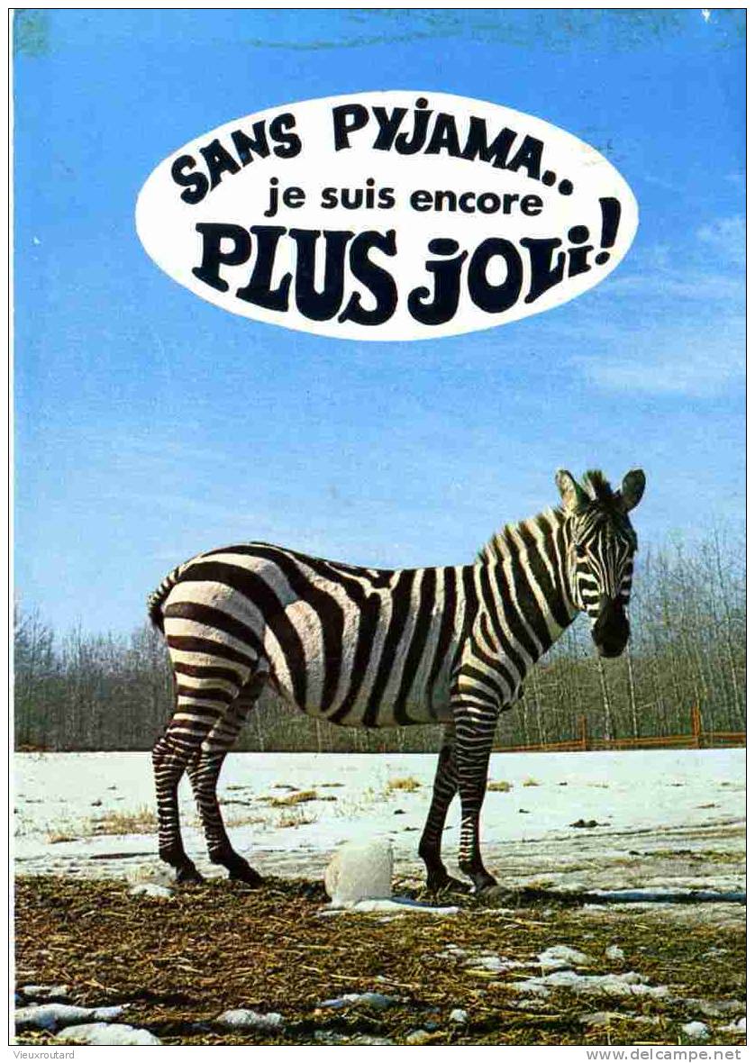 CPSM. ZEBRE. DATEE 1970. FLAME. - Zebra's