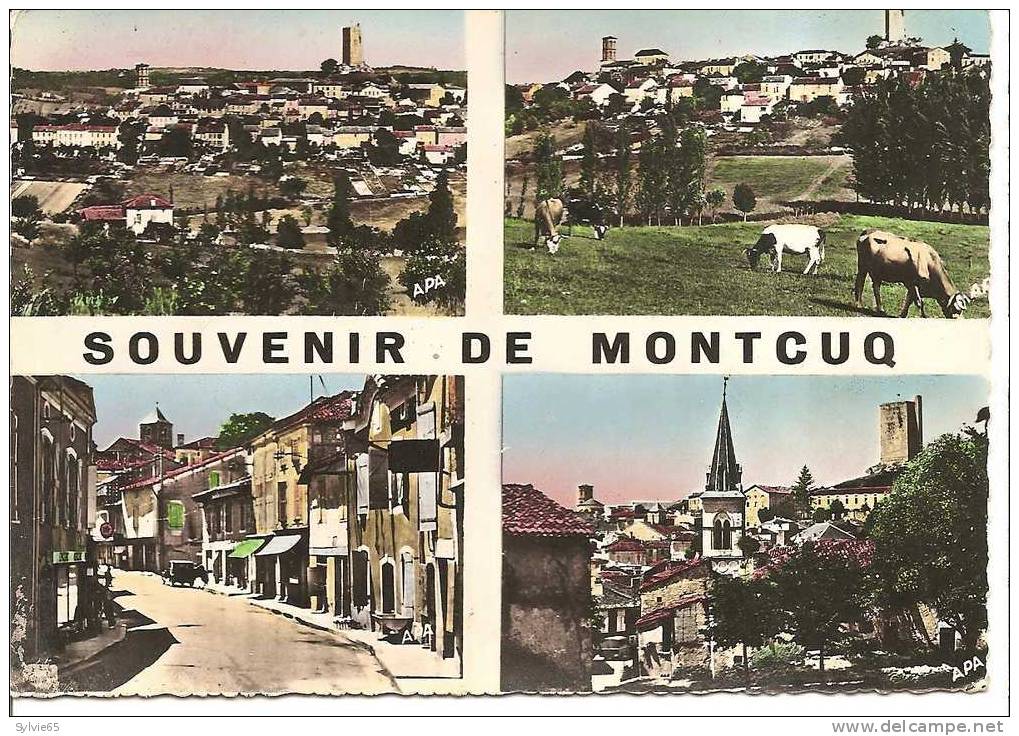 SOUVENIR DE MONTCUQ-multivues-vue Générale, La Grand Rue, église St Privat - Montcuq