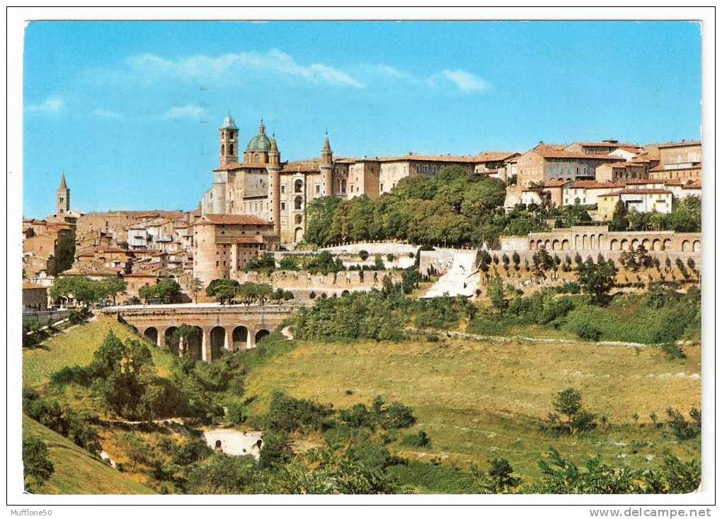 Italia 1971. Cartolina Di URBINO - Panorama - Urbino