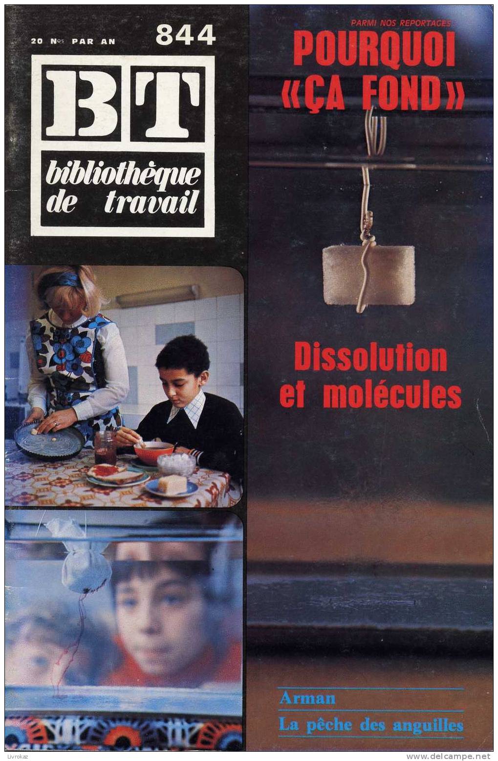 BT N°844 (1977) : Pourquoi "ça Fond". Dissolution Et Molécules. Bibliothèque De Travail. Arman. Pêche à L'anguille - Ciencia