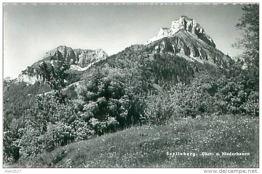 SEELISBERG - Ober U. Niederbauen (Photoglob, Wehrli, AG, Zûrich, N. 4591) - Bauen