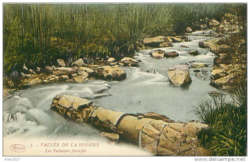 Vallée De La HOËGNE - Les Palmiers Pétrifiés (Marco Marcovici, Bruxelles) - Theux