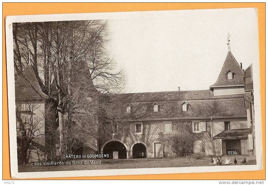 G247 Château De Goumoens, Asile Des Vieillards Du Gros De Vaud. EMS, Poules De La Ferme. - Goumoëns