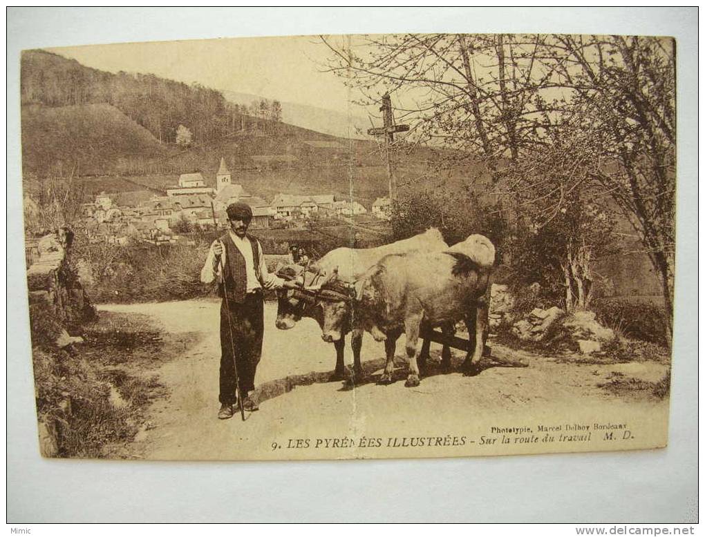 LES PYRENNEES ILLUSTREES "sur La Route Du Travail"   Datée 1917 - Landbouw