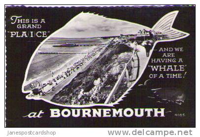 BOURNEMOUTH Dorset (was Hampshire) - Fancy Fish Comic Card - Real Photo - - Bournemouth (from 1972)