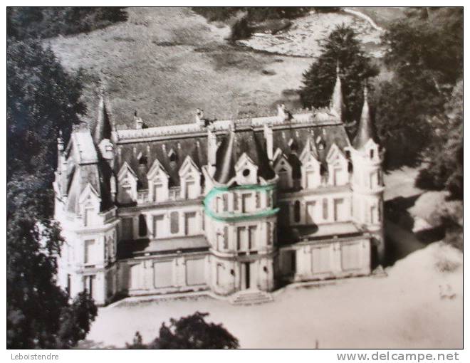 CPSM -(16-CHARENTE)-EN AVION AU-DESSUS DE ...JARNAC -CHATEAU DE CRESSE - Jarnac