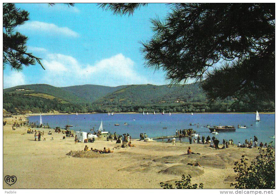 Carte Postale 31. Saint-Ferreol   La Plage Trés Beau Plan - Saint Ferreol