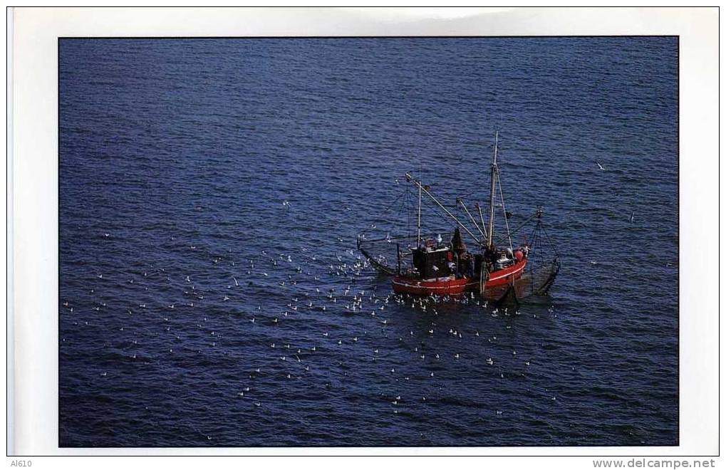 BATEAU DE PECHE - Fishing Boats