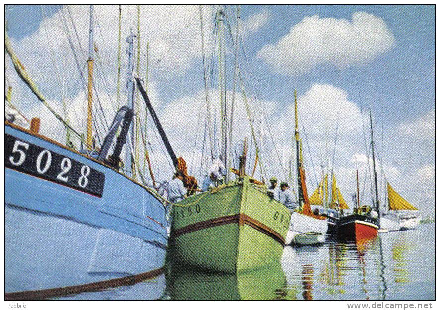 Carte Postale 56. Etel  Thoniers  Quai Trés Beau Plan - Etel