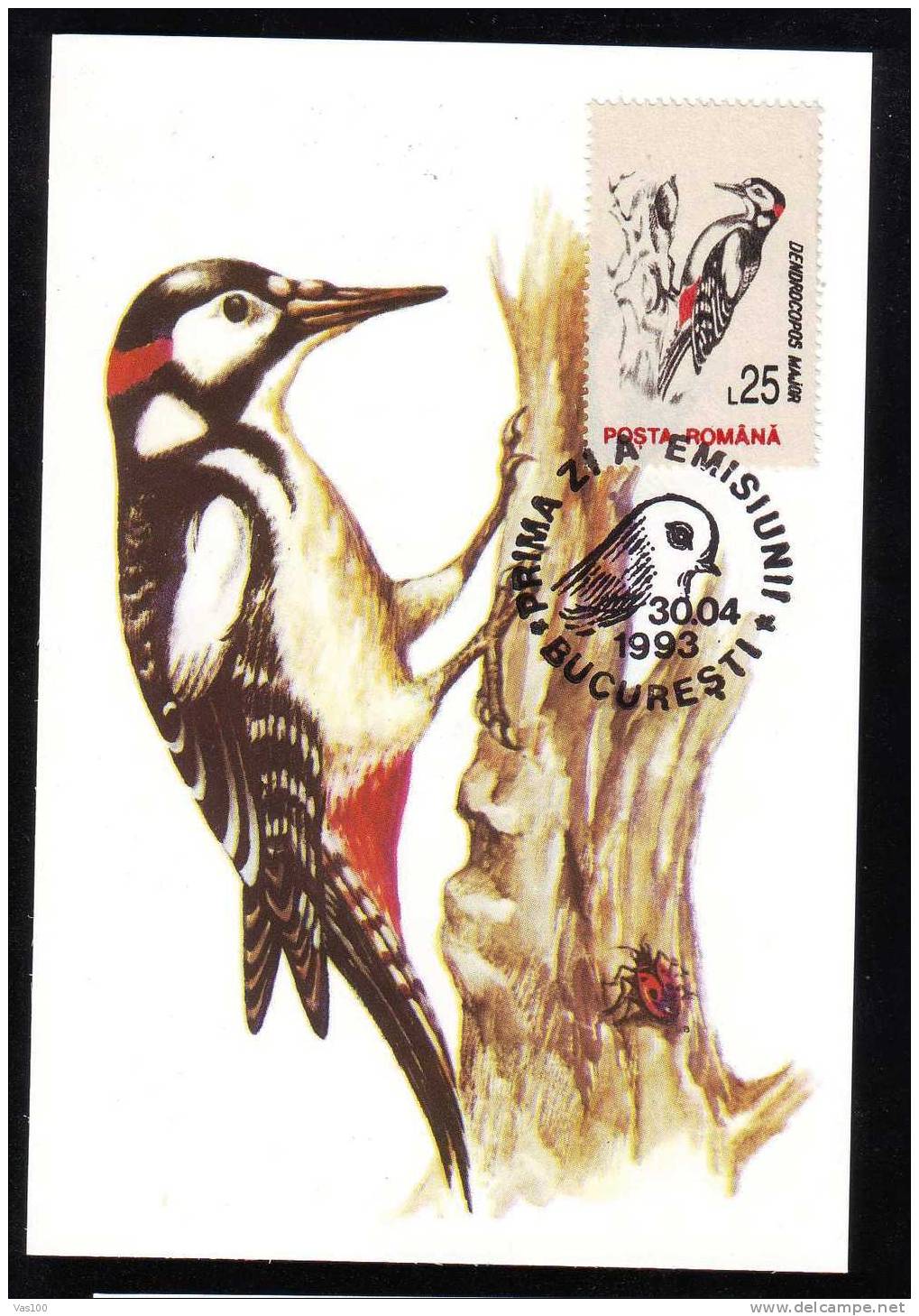 Maximum Card, BIRD Woodpecker 1993, FDC Cancell, ROMANIA. - Specht- & Bartvögel