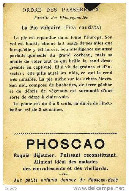 Chromo Publicité Phoscao - Oiseaux - Nid Oeuf - Pie - Otros & Sin Clasificación