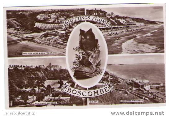 DORSET (was Hampshire) - Real Photo - MUlti-View PCd - BOSCOMBE - Altri & Non Classificati