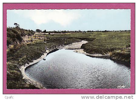 Montmartin Sur Mer : Les Prés Salés - Montmartin Sur Mer