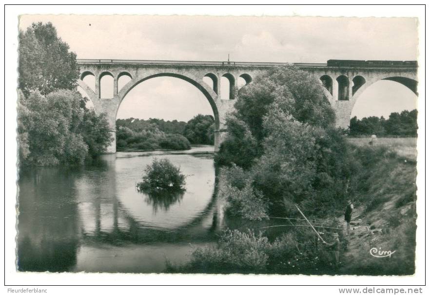 Saint FLORENT-sur-CHER (18) - CPSM - Le Viaduc Sur Le Cher ... Pêcheurs à La Ligne - Saint-Florent-sur-Cher