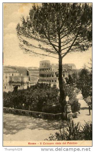 ROMA - Il Colosseo Visto Dal Palatino - Colosseum