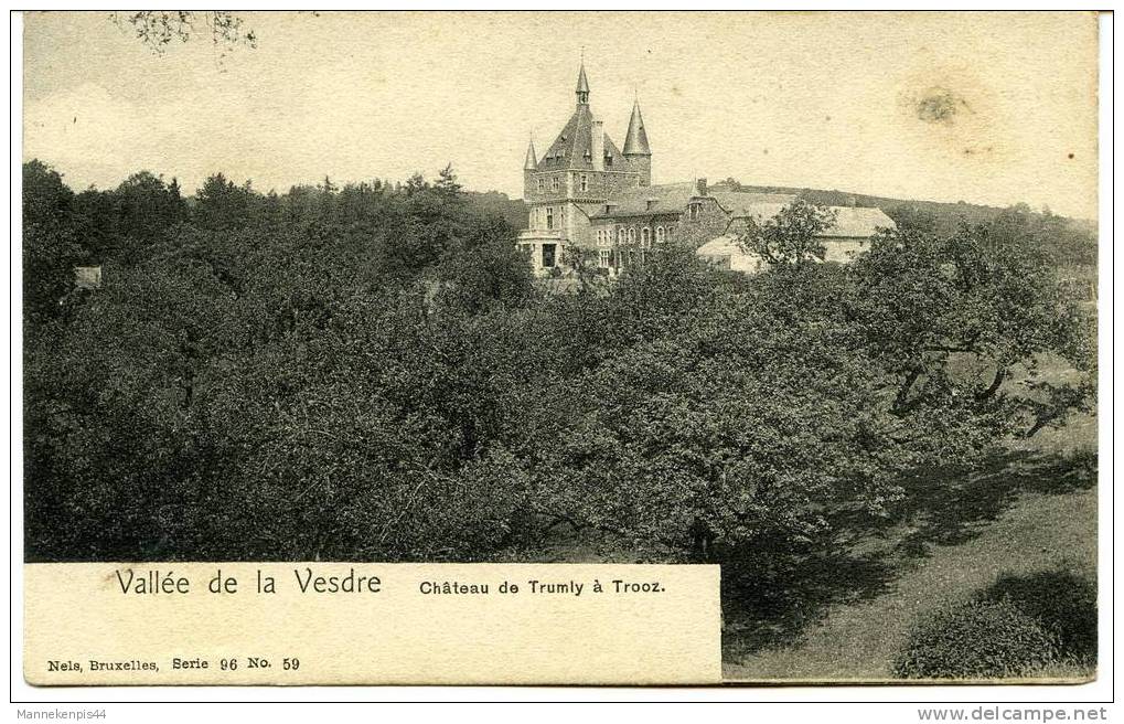 Vallée De La Vesdre - Château De Trumly à Trooz - Nels Serie 96 N° 59 - Trooz
