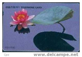 # KOREA MO9601102 Water Lily 3000 Autelca 01.96 -fleurs,flowers- Tres Bon Etat - Corée Du Sud