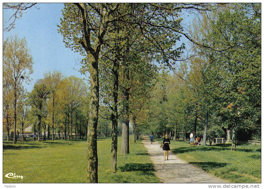 Carte Postale 91. Montgeron  Trés Beau Plan - Montgeron