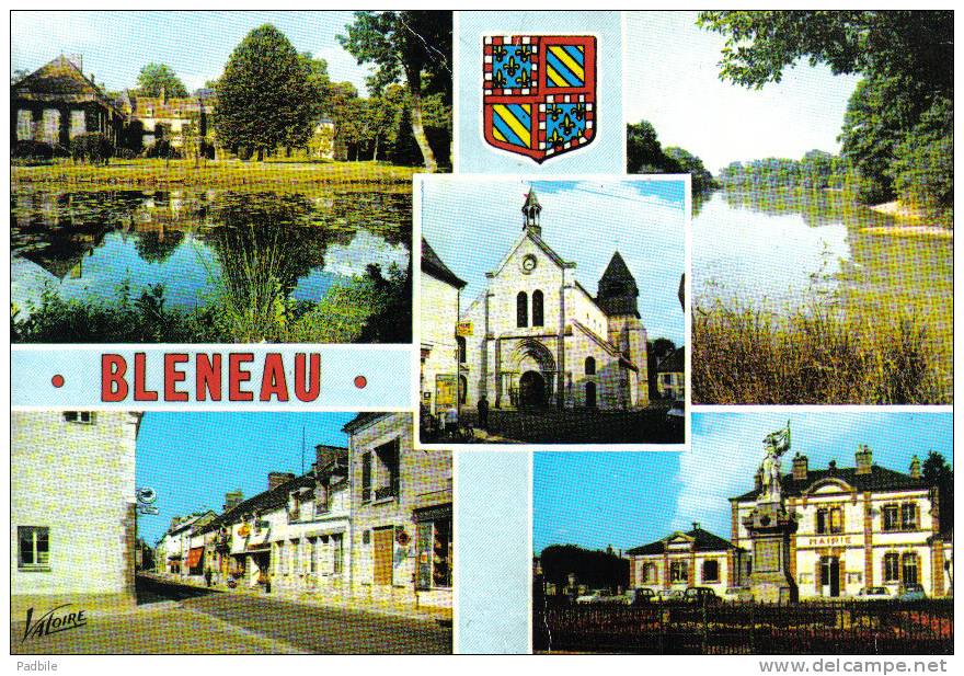 Carte Postale 89. Bleneau   Trés Beau Plan - Bleneau