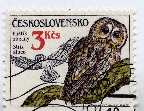 TCHECOSLOVAQUIE- N° 2690 Oblitéré (chouette)--oiseau-- - Owls