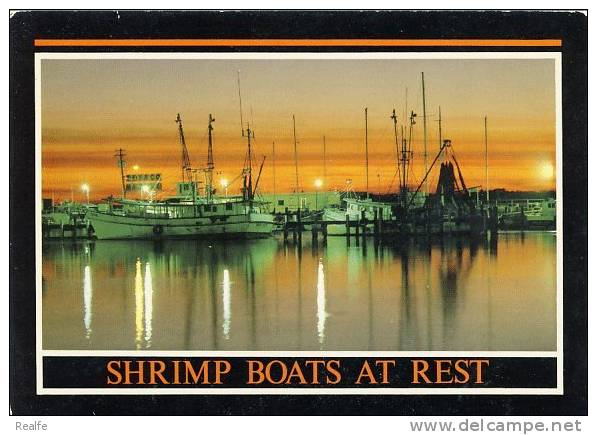 Shrimp Crevette Boats At Rest  Florida - Visvangst