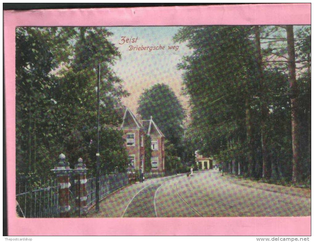 ZEIST DRIEBERGSCHE WEG Nederland NETHERLANDS HOLLAND DIVIDED BACK USED BRIEFKAART PAYS-BAY - Zeist