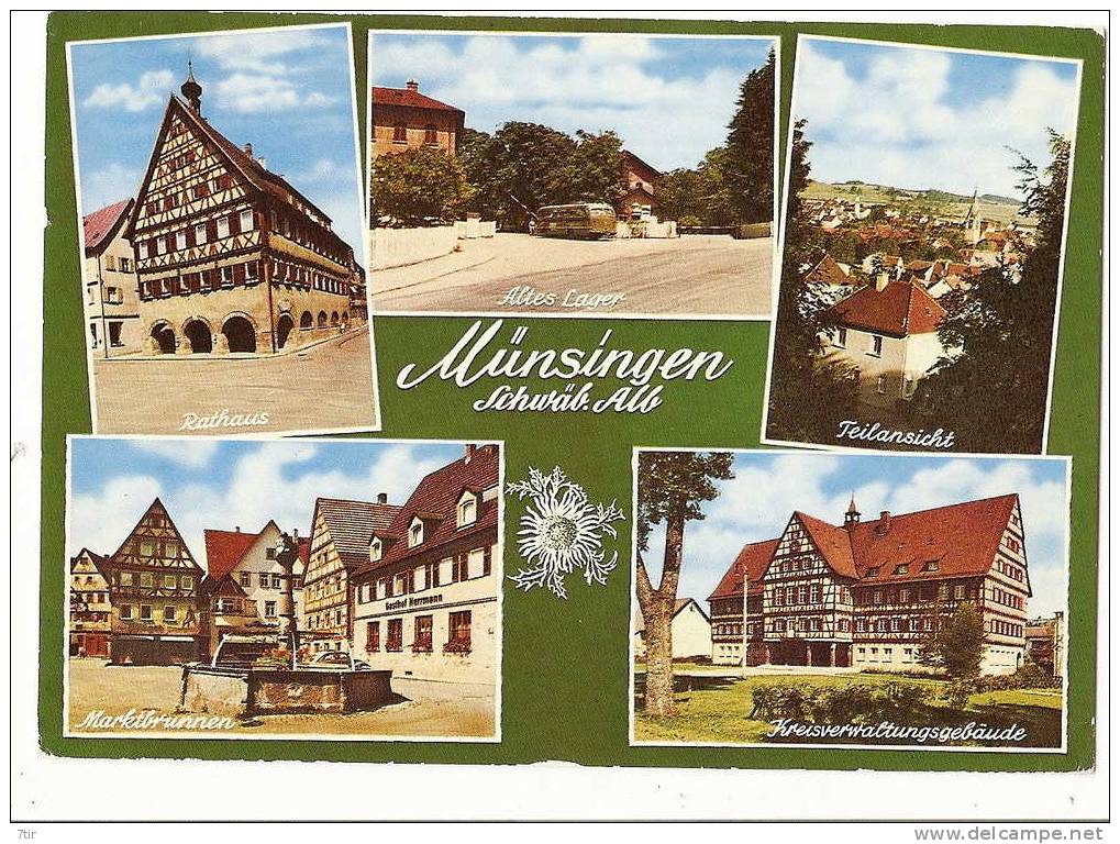 MUNSINGEN - Muensingen