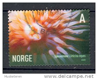 Norway 2005 Mi. 1545  A Seaworld Animals Meerestiere Sea Anemone Seeanemone - Oblitérés