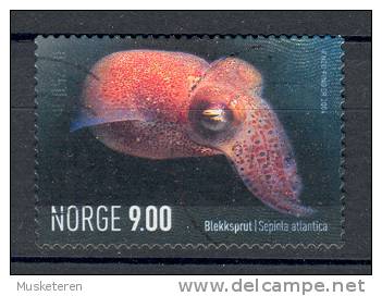 Norway 2004 Mi. 1492  9.00 Kr Seaworld Animals Meerestiere Atlantische Sepiole Octapus - Oblitérés