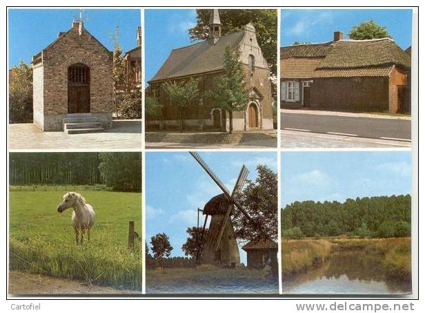 MOL-EZAART- GROETEN UIT EZAART-MEERZICHT-WINDMOLEN - Mol