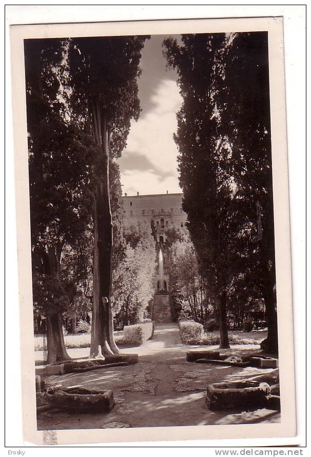 PGL 1805 - TIVOLI VILLA D'ESTE PIAZZALE DEI CIPRESSI (1930) - Tivoli