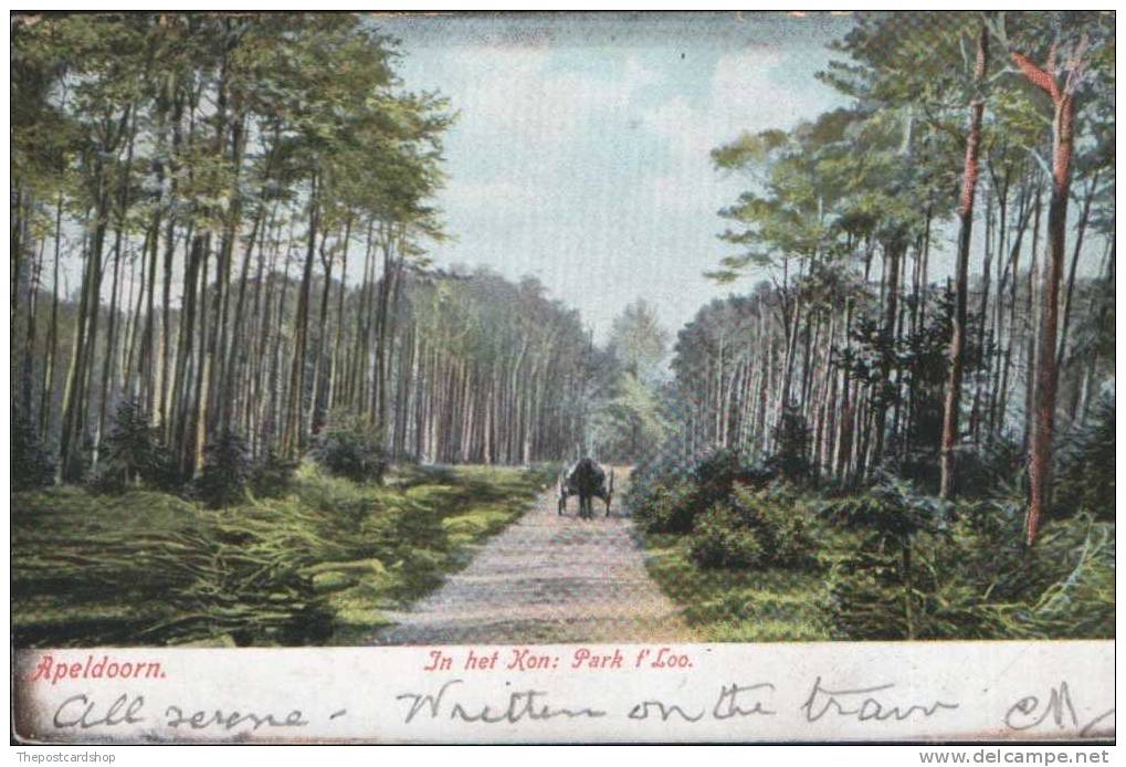 APELDOORN IN HET KON PARK T' LOO GELDERLAND NETHERLANDS HOLLAND POSTALLY USED - Apeldoorn