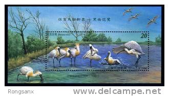 2004 TAIWAN BIRDS CONSERVATION MS - Unused Stamps