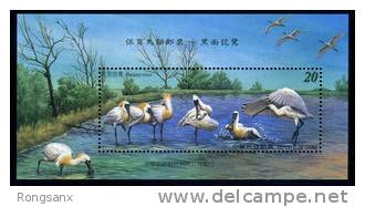 2004 TAIWAN BIRDS CONSERVATION MS - Neufs