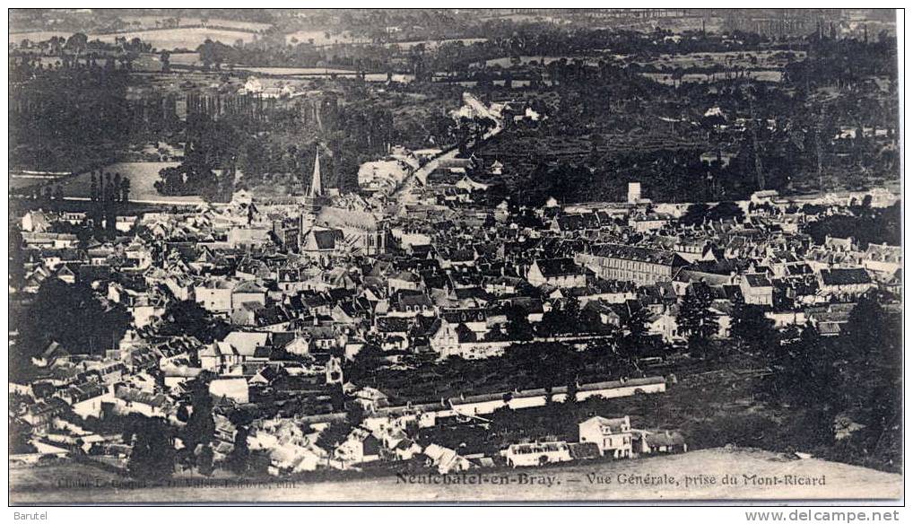 NEUFCHATEL EN BRAY - Vue Générale, Prise Du Mont-Ricard - Neufchâtel En Bray