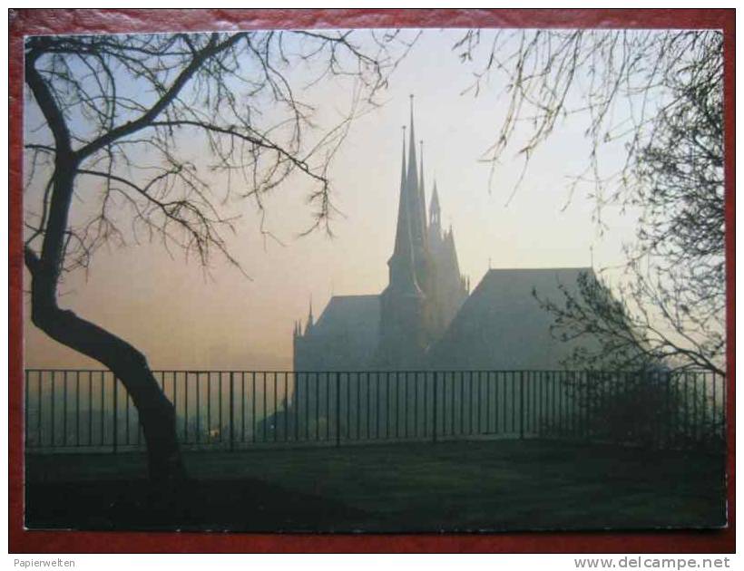 Erfurt - Petersberg / St Severi Kirche Nebelstimmung - Erfurt