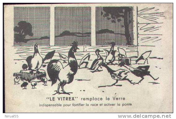 VITREX Publicité Poule élevage Ferme Oeuf - Elevage