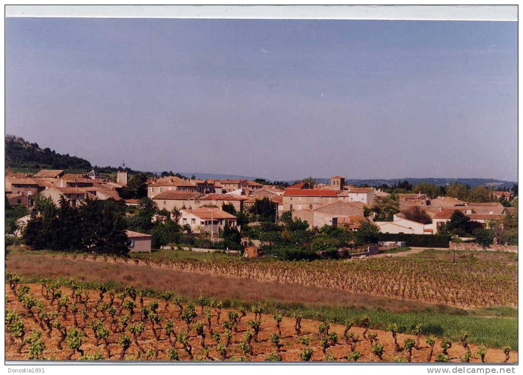 11  THEZAN DES CORBIERES  ( Photo Dos Collé  Techni Color  à Narbonne ) 105x150 - Autres & Non Classés