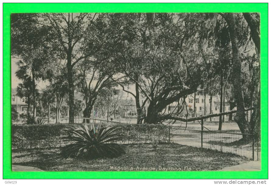 DAYTONA, FL - MAGNOLIA AVENUE - CARD WRITTEN IN 1906 - THE ROTOGRAPH CO - UNDIVIDED BACK - - Daytona