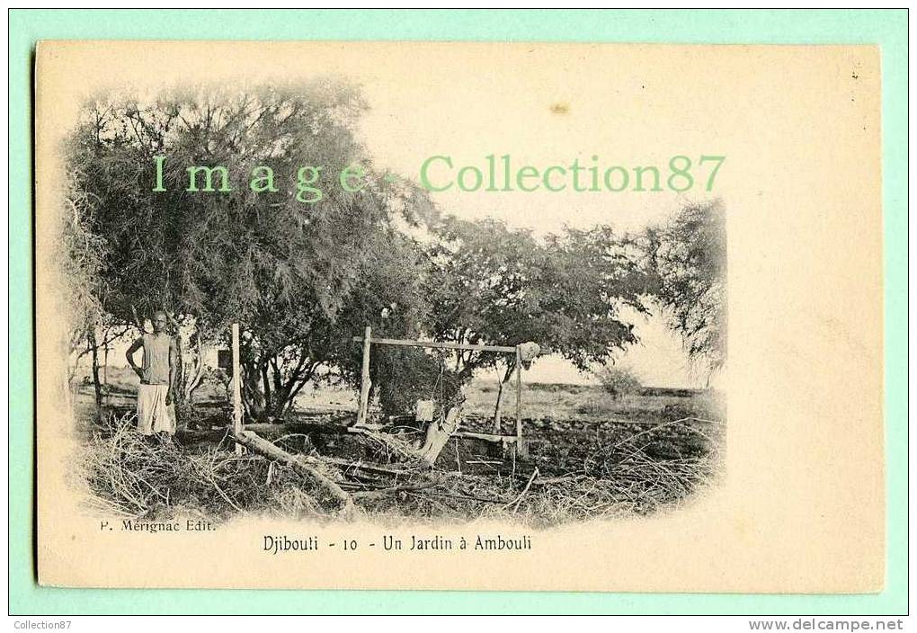 SOMALIE - DJIBOUTI - UN JARDIN à AMBOULI - CARTE 1900 Editeur MERIGNAC - Somalia