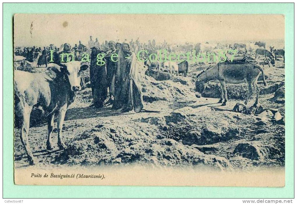 MAURITANIE - PUITS De BASSIGUINDE - ANE - Mauretanien