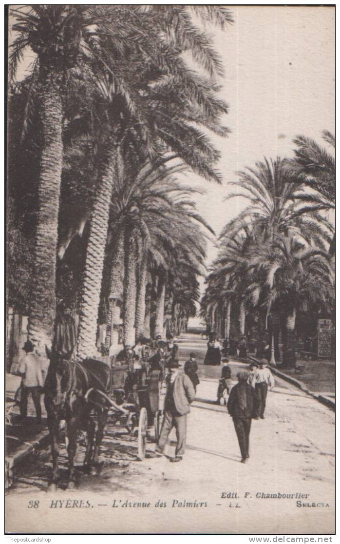 CPA 83 HYERES, L'Avenue Des Palmiers Très Animée,attelages HORSE TRANSPORT TAXI CHEVAL SELECTA LL LOUIS LEVY - Hyeres