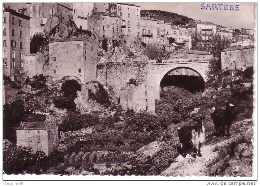 20 - 2A - Sartène - Entrée (chèvres) - Sartene