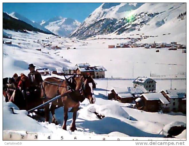 LIVIGNO VEDUTA CON NEVE E CAVALLO CON SLITTA  VB1971 CB4209 - Sondrio