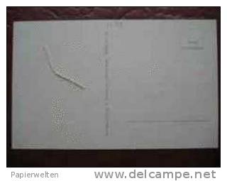 Braunschweig - Dom - Braunschweig