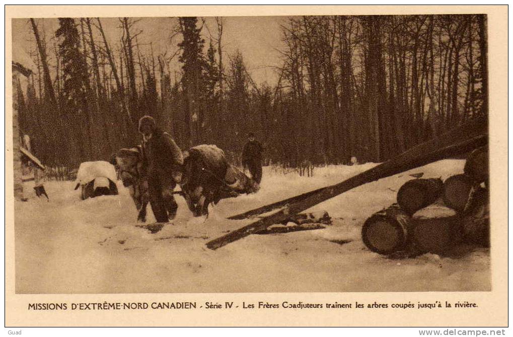 MISSIONS D´EXTREME-NORD CANADIEN -MISSIONNAIRE -  LES FRERES COADJUTEURS TRAINENT LES ARBRES - Autres & Non Classés