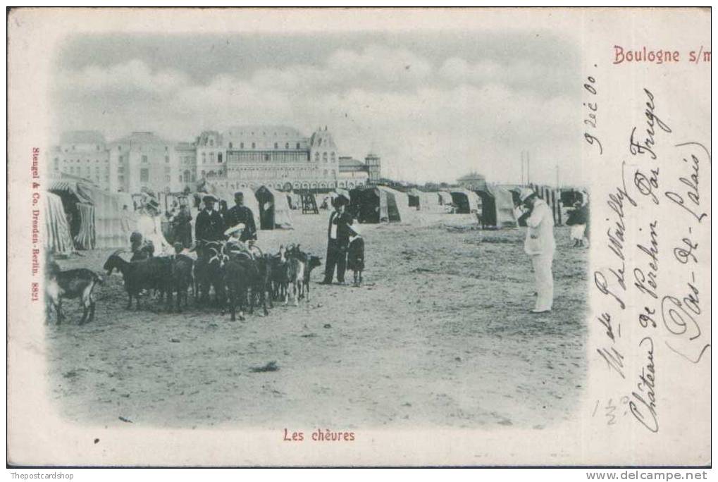 CPA 62 BOULOGNE SUR MER Les Chèvres GOATS ON THE BEACH CAMERA STENGEL & CO 8821 PAS DE CALAIS - Autres & Non Classés