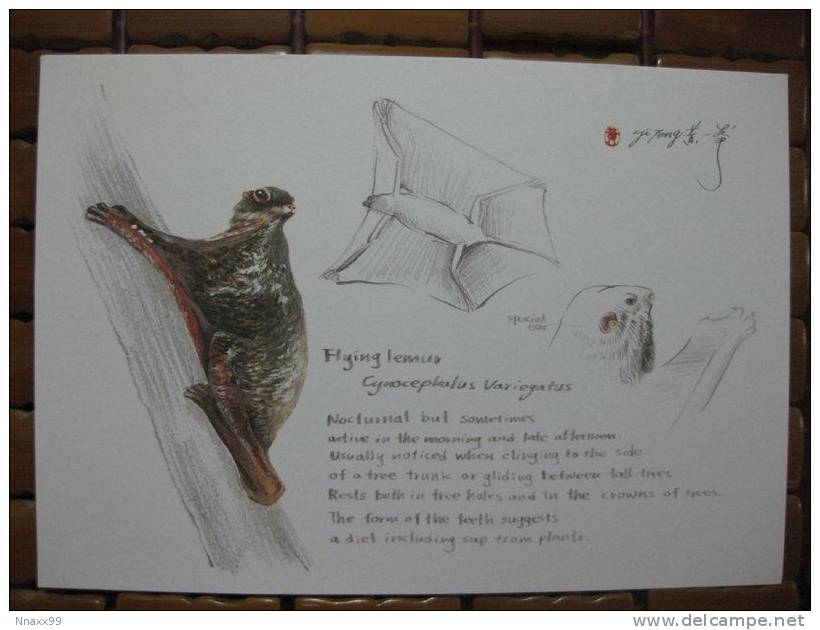 Monkey - Singe - Flying Lemur (Cynocephalus Variegatus), Painting - Apen